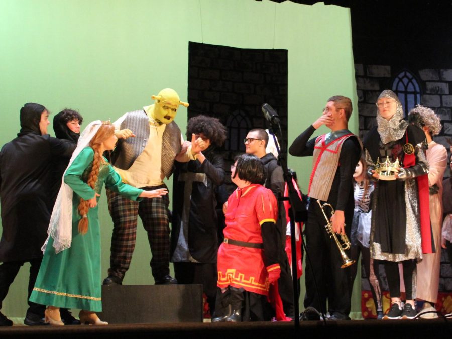 Shrek The Musical Takes Stage