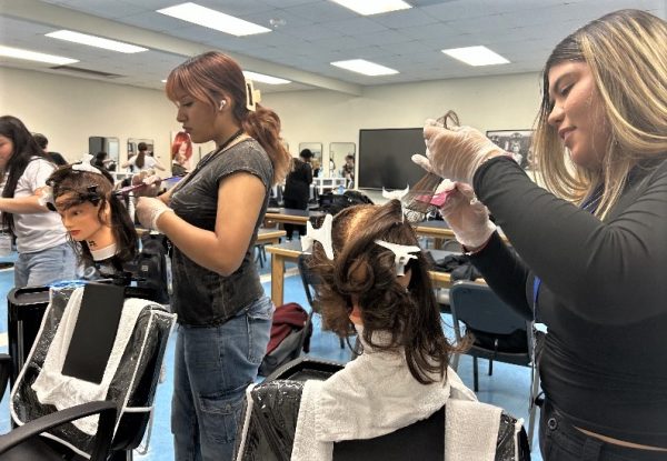 Glimpse Into Cosmetology