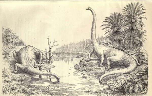 https://creativecommons.org/publicdomain/mark/1.0/