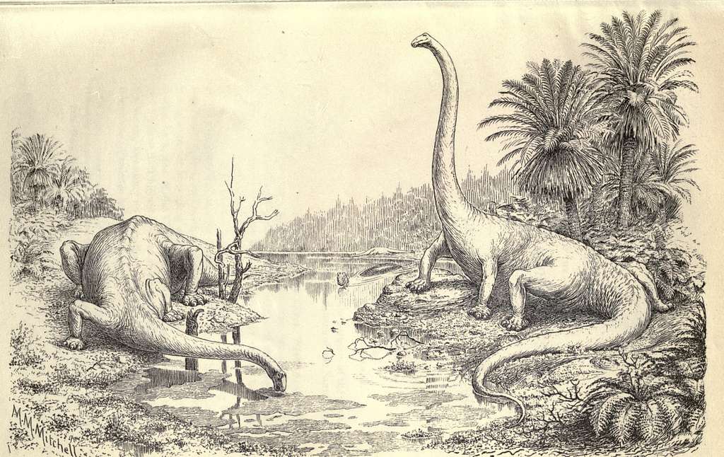 https://creativecommons.org/publicdomain/mark/1.0/